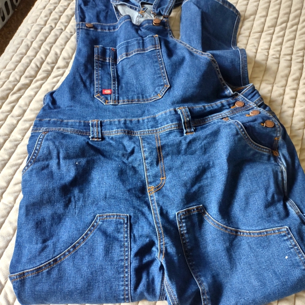 Dickies overalls